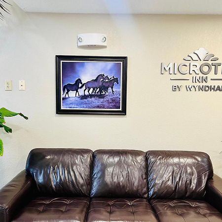 Microtel Inn Georgetown - Lexington North Eksteriør billede